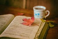 Book and Autumn Leaf