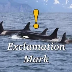 exclamation mark
