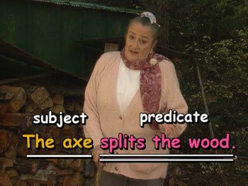 "splits the wood" is the predicate