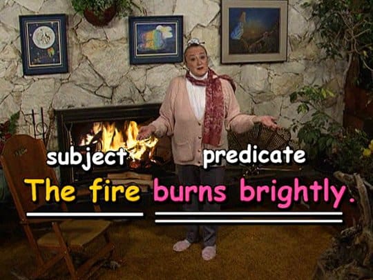 Example of subject and predicate: The fire (subject) burns bright (the predicate)