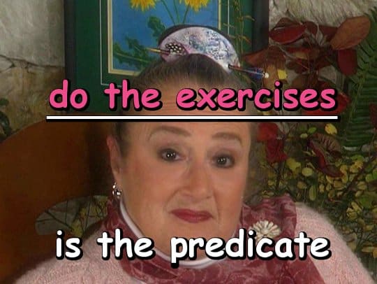 "do the exercises" is the predicate