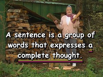 A sentence is a group of words that expresses a complete thought.