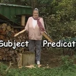 subject and predicate