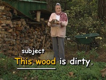 "This wood" is the subject