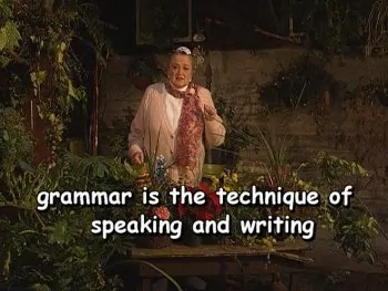 Grammar is the technique of speaking and writing.