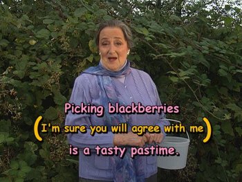 Picking blackberries (I'm sure you will agree with me) is a tasty pastime.