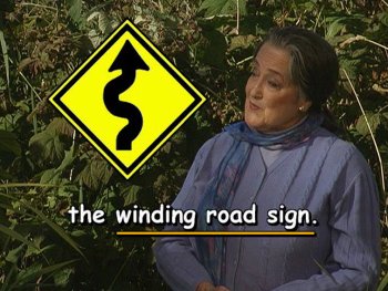 the winding road sign