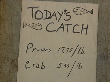 Today's Catch: Prawns 17.95/lb., Crab 5.00/lb.