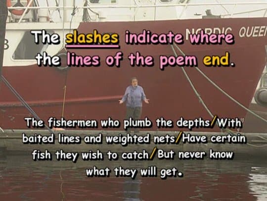The slashes indicate where the lines of the poem end.