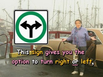 This sign gives you the option to turn right OR left,
