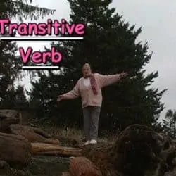 Transitive Verb