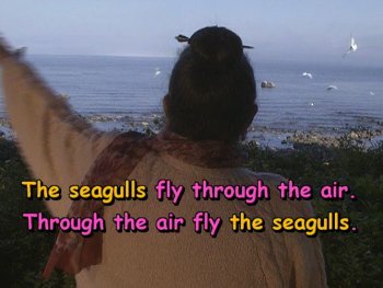 Through the air fly the seagulls.
