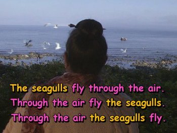 Through the air the seagulls fly.