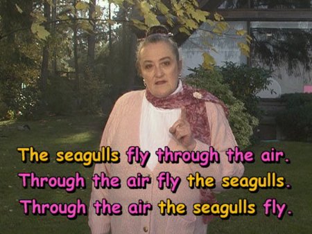 Three ways of using the same words to write about seagulls.
