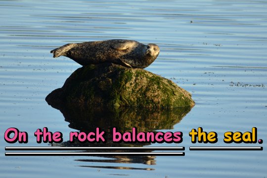 On the rock balances the seal.