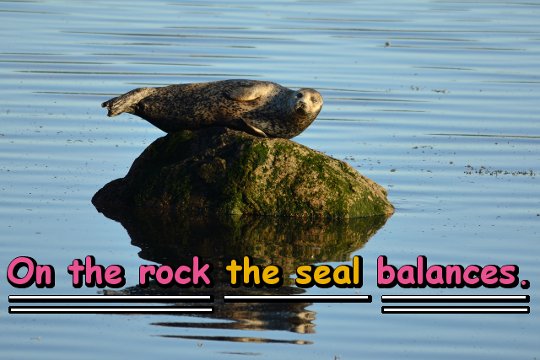 On the rock the seal balances.