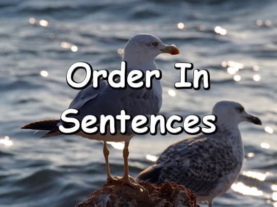 Order in Sentences