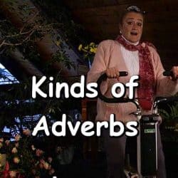 Kinds of Adverbs
