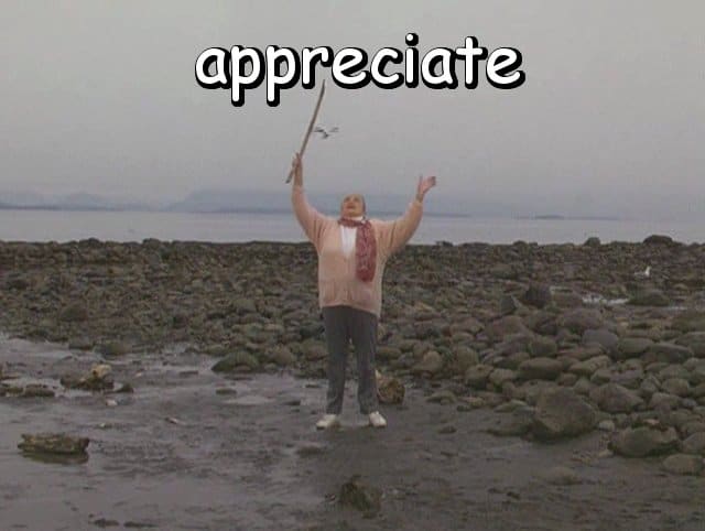 the word "appreciate" with Marie waving her stick in the air on the beach