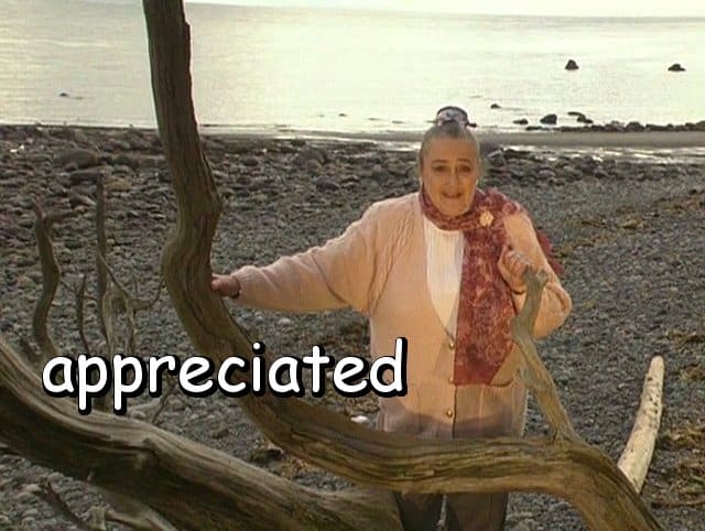 the word "appreciated" with Marie in a driftwood tree on the beach