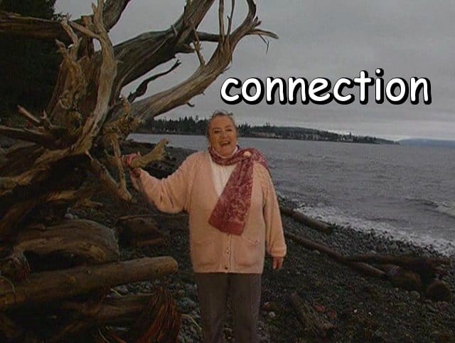 the word "connection" with Marie beside the root of a driftwood tree