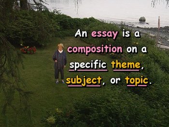 An essay is a composition on a specific theme, subject, or topic.