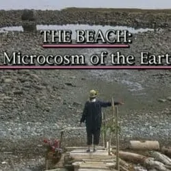 The Beach: A Microcosm of the Earth