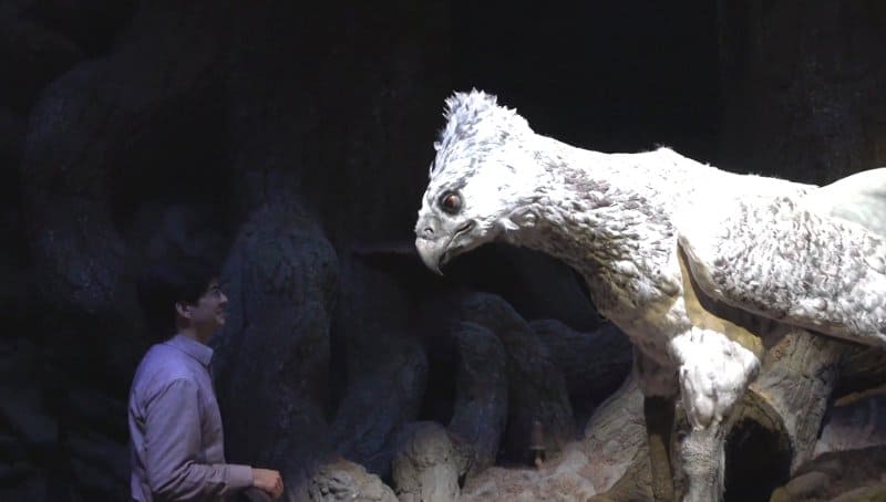 Writing the essay took me to Leavesden Studios, where they filmed the movie versions of the books and where I got to meet Buckbeak. Thomas meets Buckbeak at Leavesden Studios outside London.