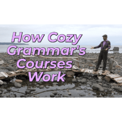 How Cozy Grammar's Courses Work