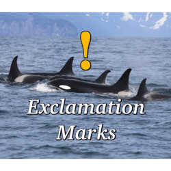 Exclamation Mark