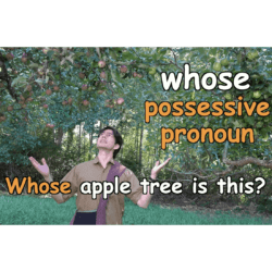 whose - possessive pronoun - Whose apple tree is this?