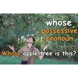 whose - possessive pronoun - Whose apple tree is this?