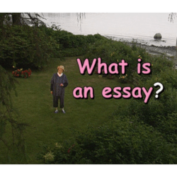 What is an essay?
