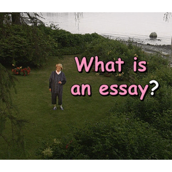 What Is An Essay And How To Get Started Cozy Grammar what-is-an-essay-and-how-to-get-started-cozy-grammar
