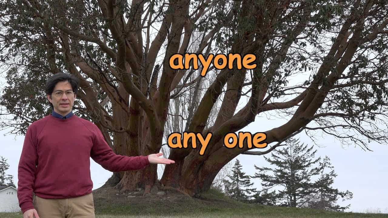 Anyone And Any One