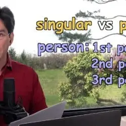singular vs plural, first person, second person, third person
