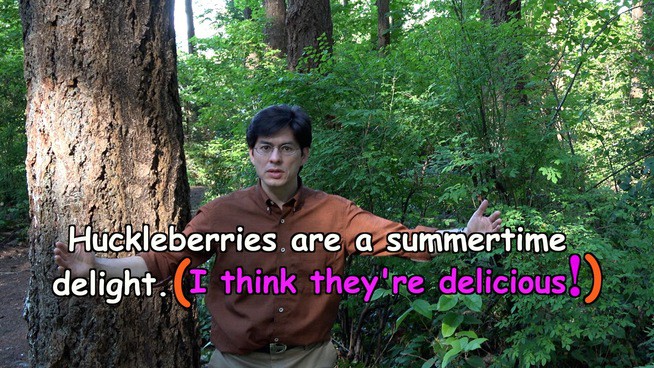 Huckleberries are a summertime delight. (I think they're delicious!)