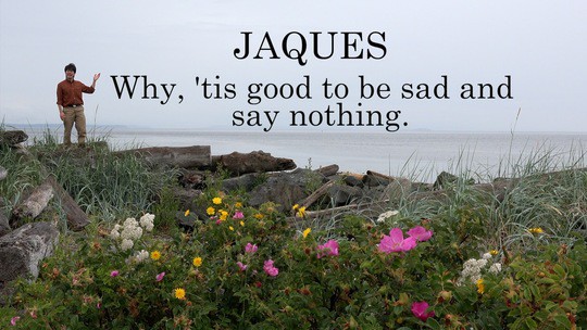 Jaques: Why, 'tis good to be sad and say nothing.
