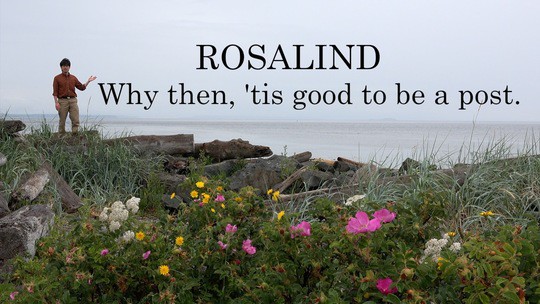Rosalind: Why then, 'tis good to be a post.