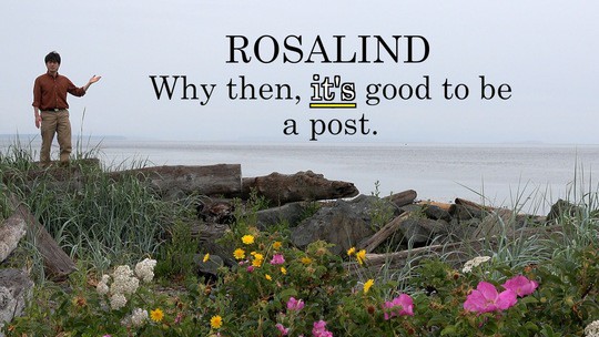 Rosalind: Why then, it's good to be a post.