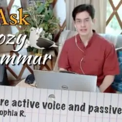 What are active voice and passive voice?