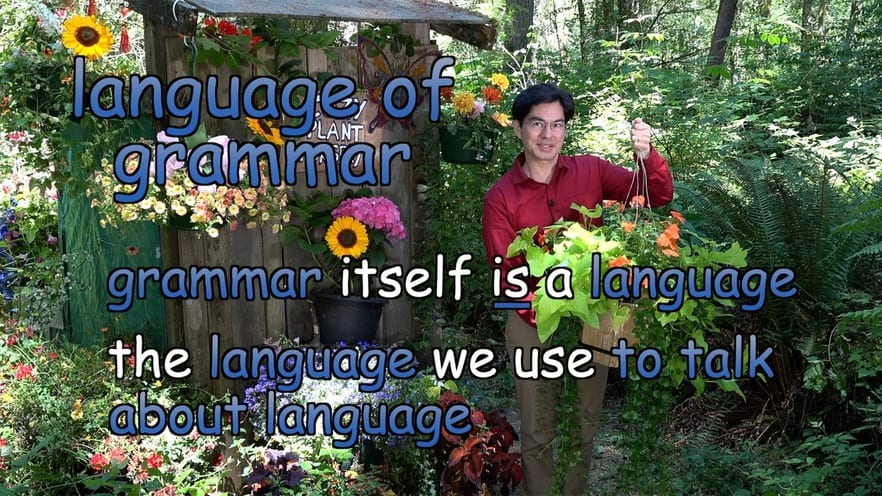 grammar itself IS a language, the language we use to talk about language