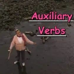 auxiliary verbs