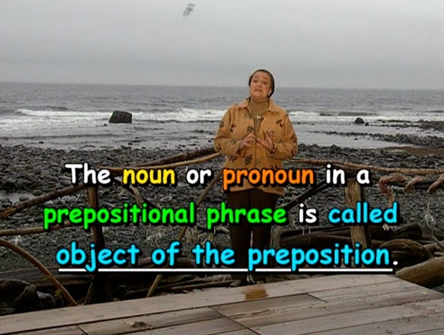 The noun or pronoun in a prepositional phrase is called object of the preposition.