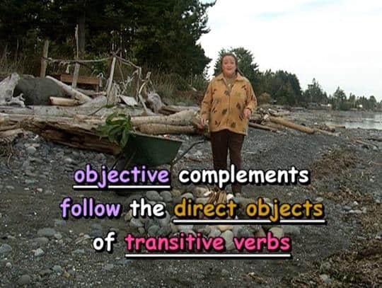 objective complements follow the direct objects of transitive verbs