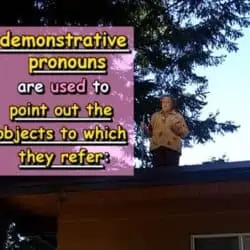 demonstrative pronouns are used to point out the objects to which they refer: