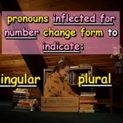 pronouns inflection for number change form to indicate: singular and plural