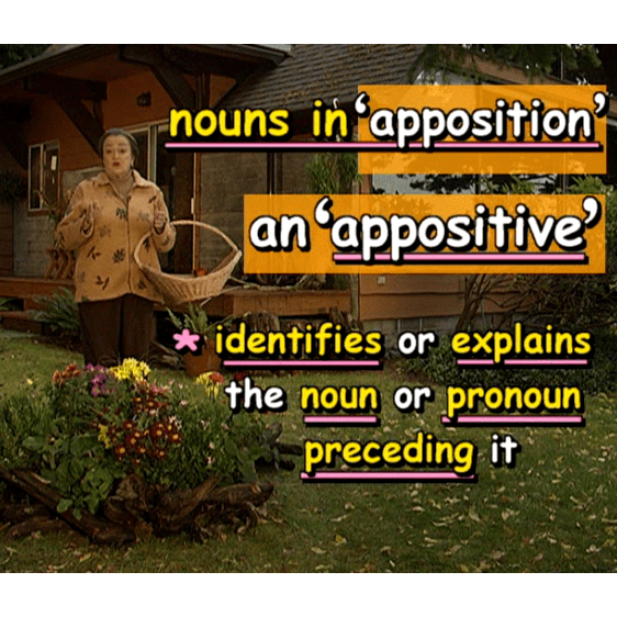 what-are-nouns-in-apposition-ask-cozy-grammar