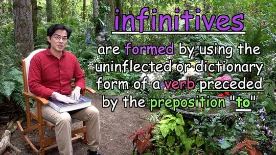 are formed by using the uninflected or dictionary form of a verb preceded by the preposition "to"