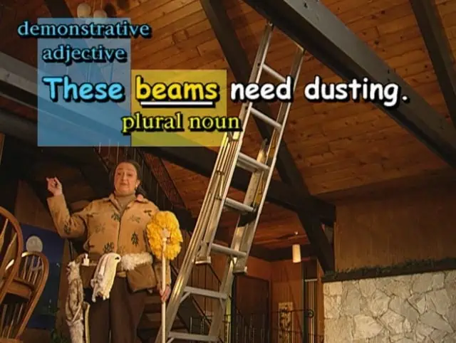 These beams need dusting.